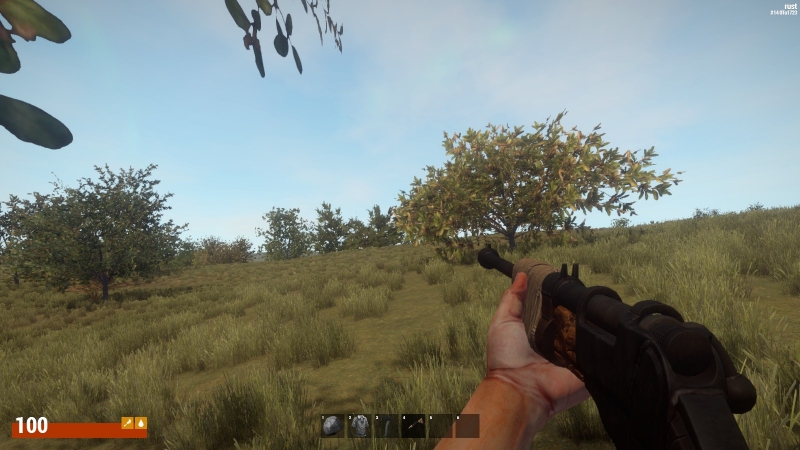   Rust