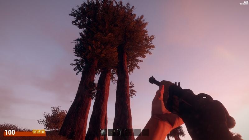   Rust