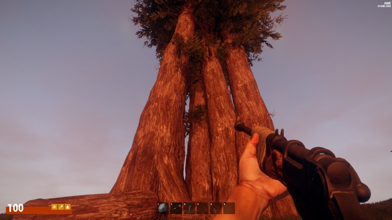   Rust