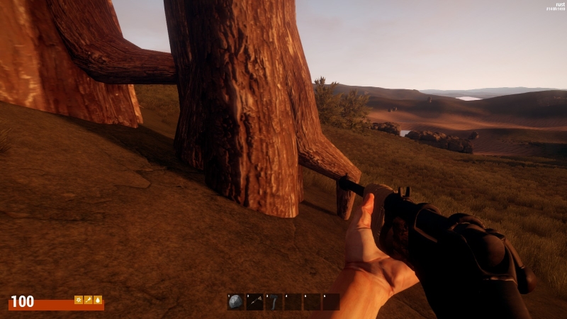   Rust