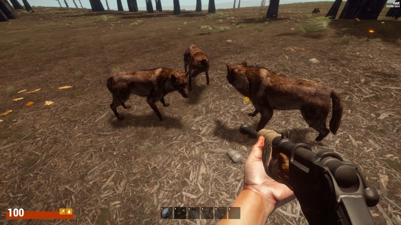   Rust