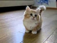    !