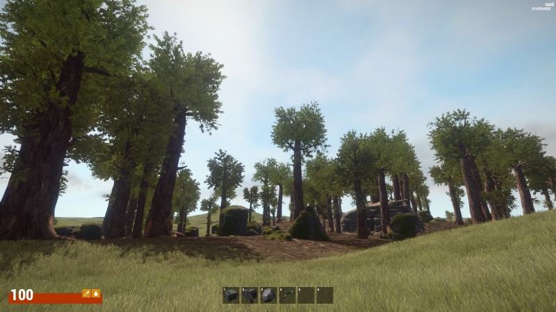   Rust