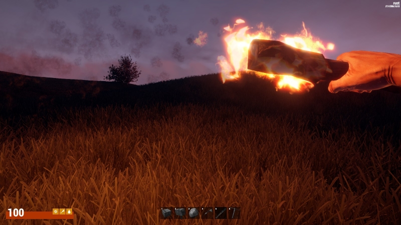   Rust