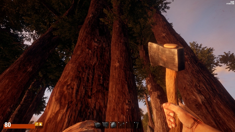   Rust