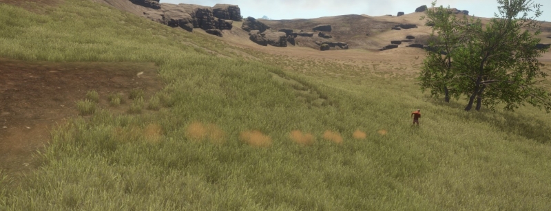   Rust