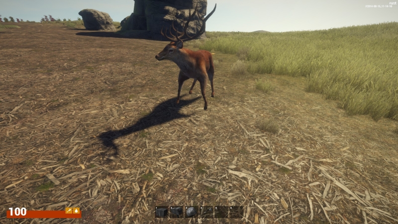   Rust