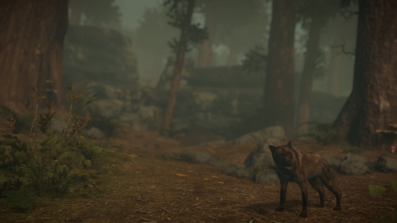   Rust