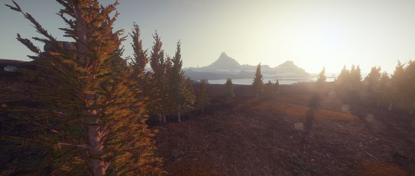   Rust