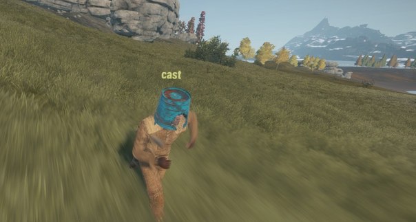   Rust