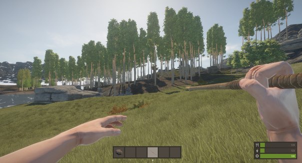   Rust