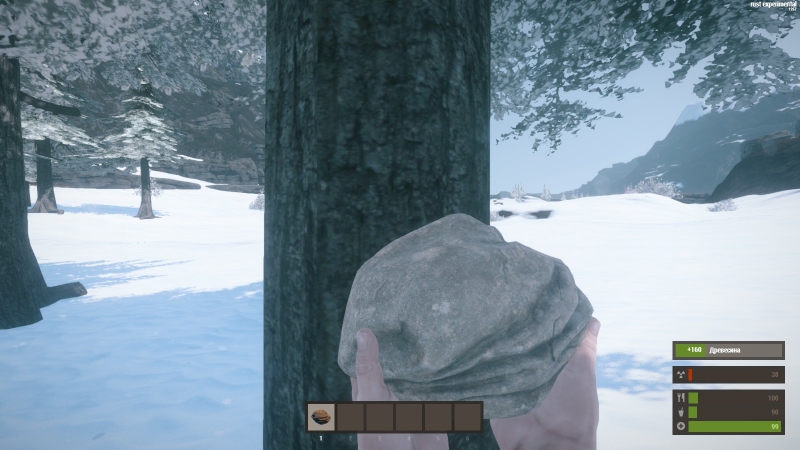   Rust