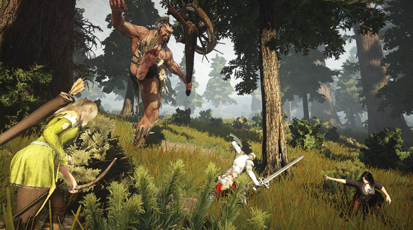    (   Black Desert Online)