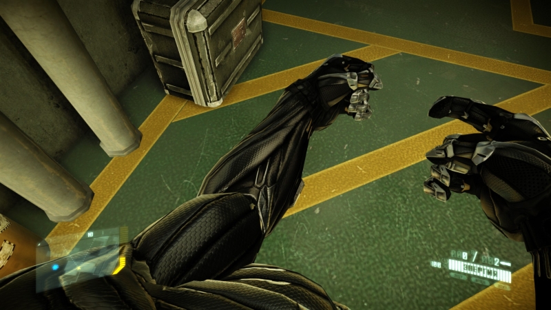    Crysis 2