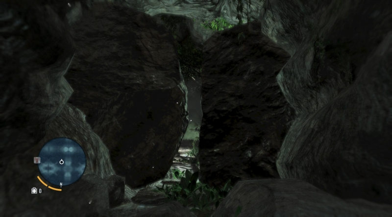    Far Cry 3