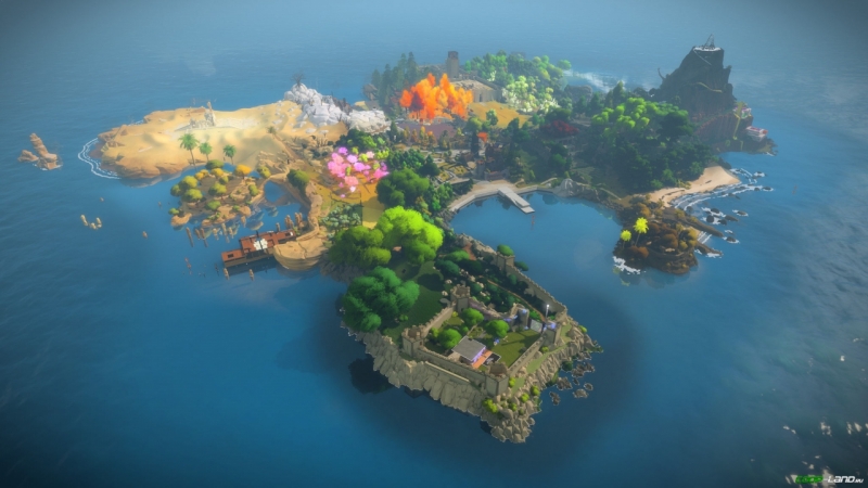   The Witness