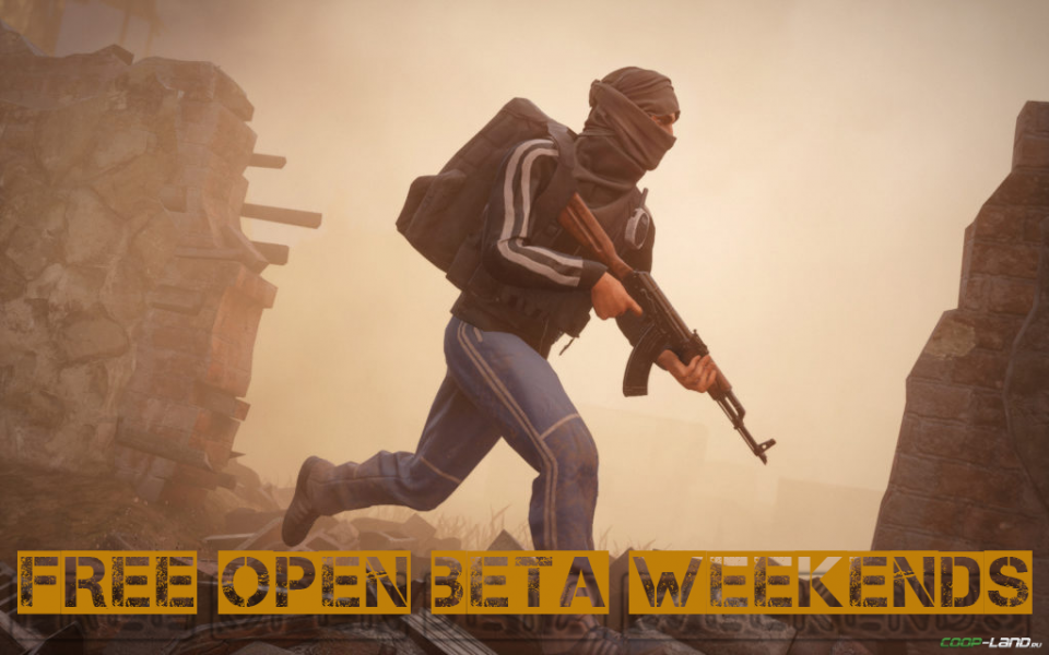   Insurgency Sandstorm!
