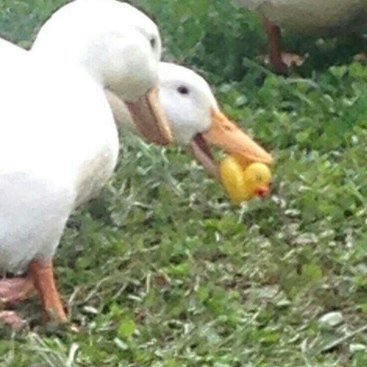  !