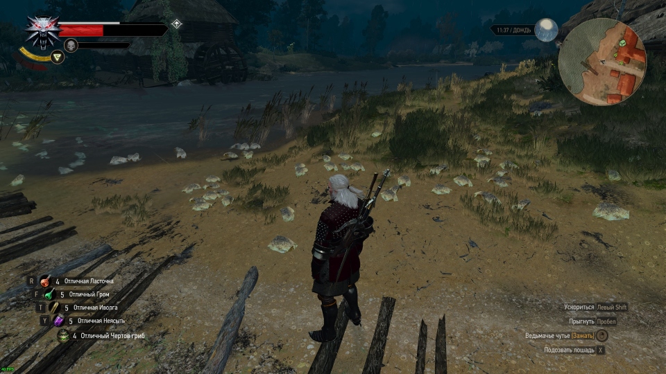         The Witcher 3 Wild Hunt