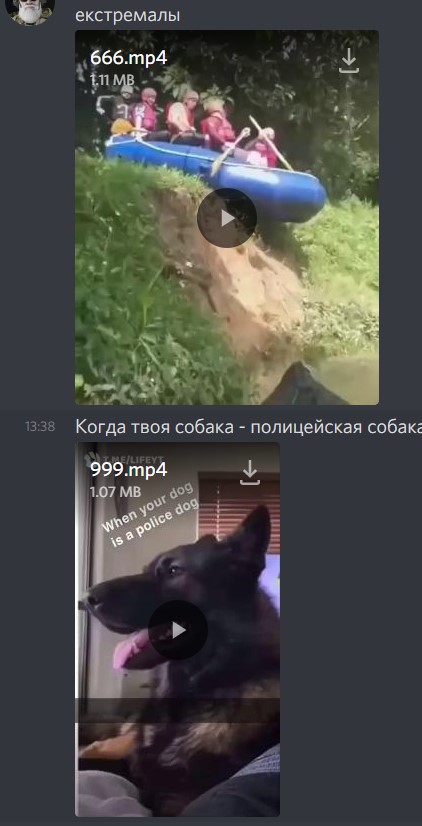    (5-10 .)   