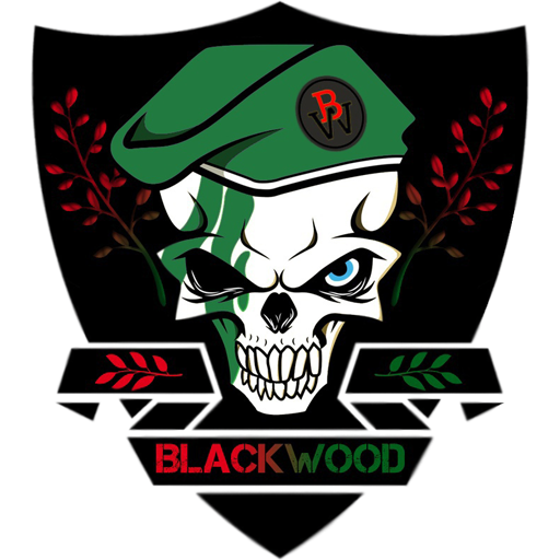  DISCORD  ! (GTA 5   )