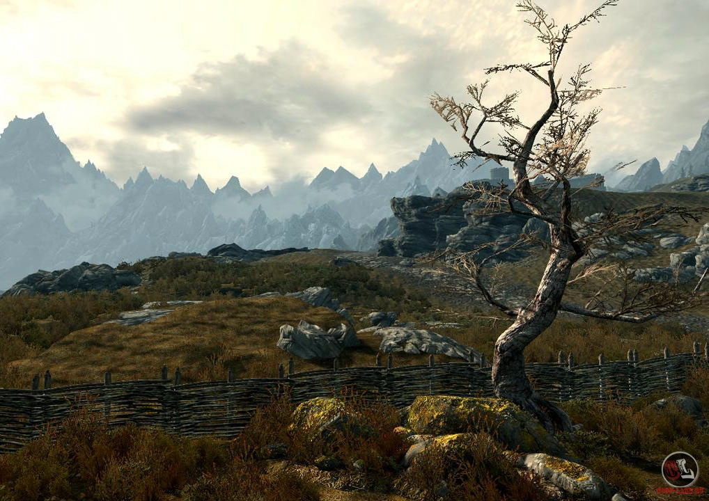    TES V: Skyrim