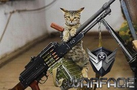  WarFace  Mail.ru