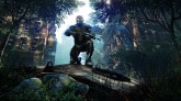   Crysis 3,  ,   