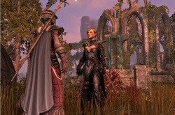 The Elder Scrolls Online и все детали о грядущей игре