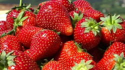 Календарь выхода игр на Июнь 2012