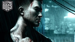  Sleeping Dogs