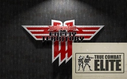 Wolfenstein: Enemy Territory + моды True Combat