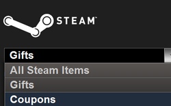      Steam