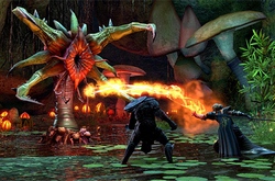 Судьба русской локализаци The Elder Scrolls Online и о получении ключей к бете