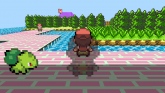 Pokemon 3D -   