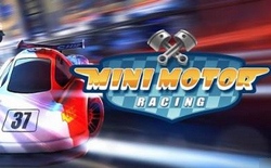 Mini Motor Racing EVO