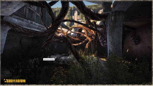   Survarium -     