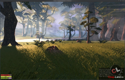 Tolroko - ������� ����-������ ������ ����������?