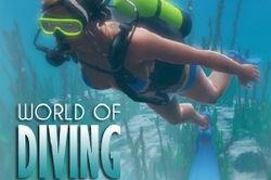 World Of Diving - ну очень необычная MMORPG