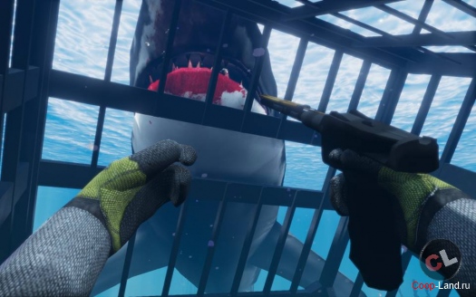 World Of Diving -    MMORPG