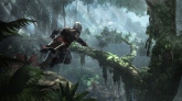 Assassins Creed 4: Black Flag ( )