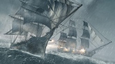 Assassins Creed 4: Black Flag ( )