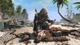 Assassins Creed 4: Black Flag ( )