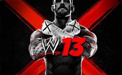 WWE '13