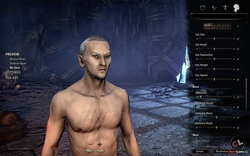 The Elder Scrolls Online -    ()