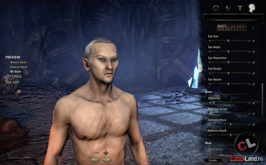 The Elder Scrolls Online -    ()