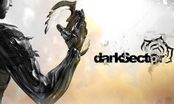 Dark Sector