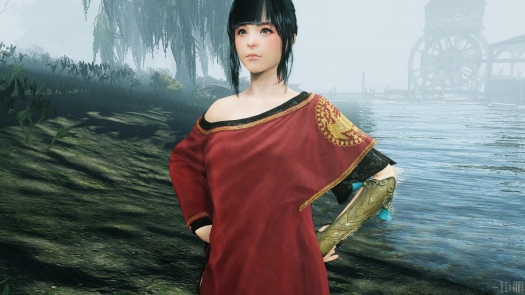 Black Desert Online.  , , 