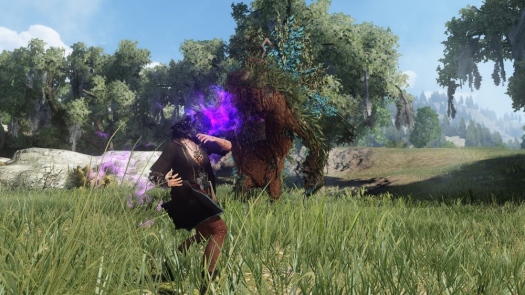 Black Desert Online.  , , 