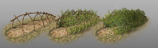 ����� ������ Rust ����� ������! ����� ����� � ����������� �� �������������